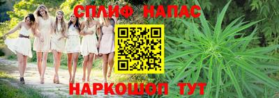гидра Краснознаменск