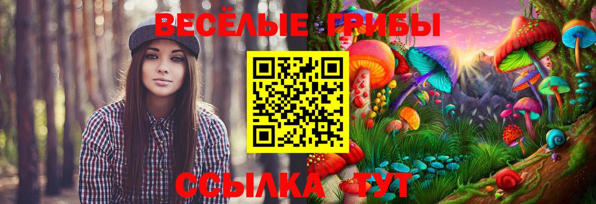 Галлюциногенные грибы MAGIC MUSHROOMS  Псилоцибиновые грибы Psilocybine cubensis  Вход с VPN  Изобильный 