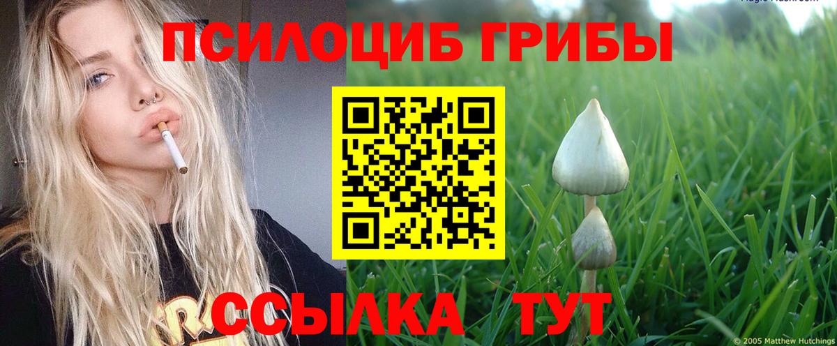 Псилоцибиновые грибы мухоморы Изобильный