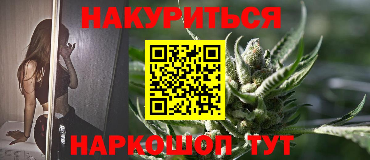 Канабис планчик Изобильный